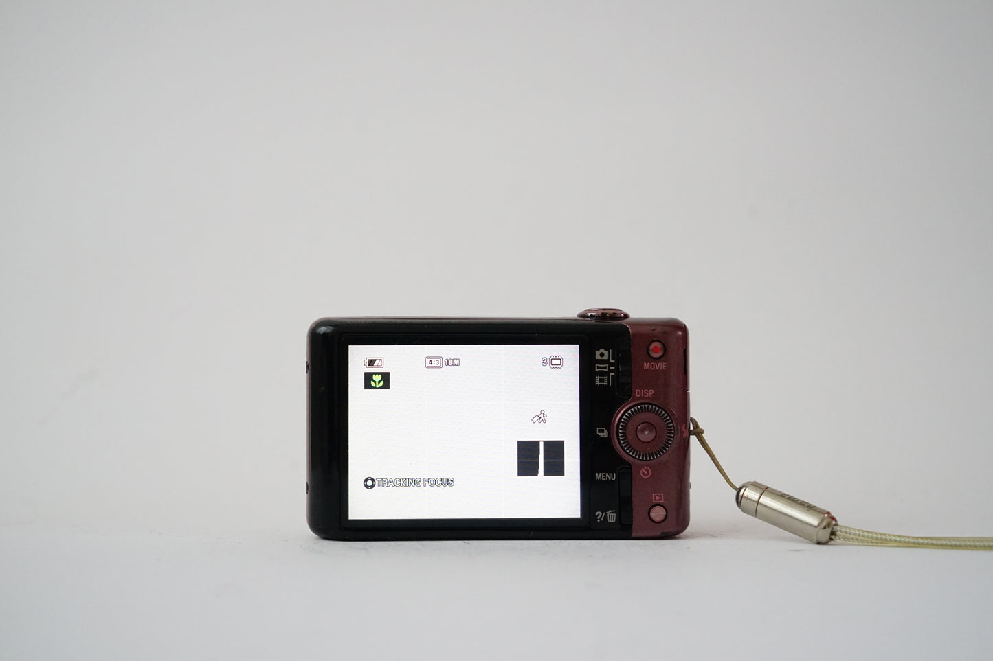 Sony Cyber-shot DSC-WX100 Digital Point and Shoot Camera
